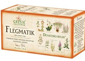 GREŠÍK Čaj Devatero bylin Flegmatik 20 n.s.