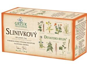 GREŠÍK Čaj Devatero bylin Slinivkový 20 n.s.