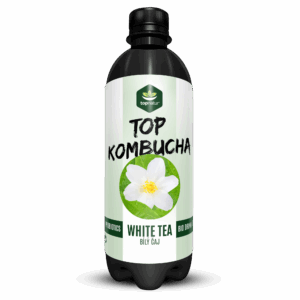 TOPNATUR TOP Kombucha Bílý čaj 500 ml