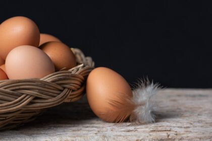 Vápník hraje klíčovou roli v kvalitě vaječných skořápek