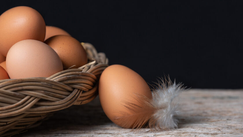 Vápník hraje klíčovou roli v kvalitě vaječných skořápek